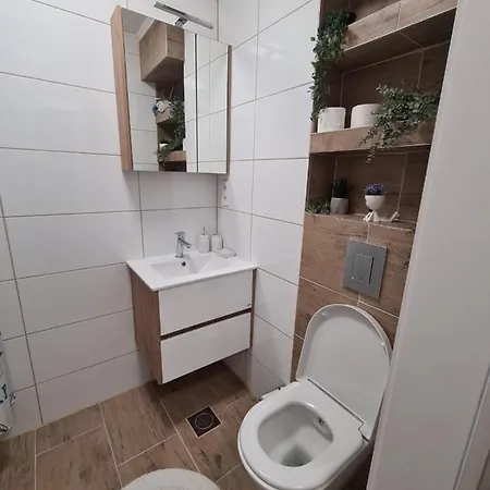 Friendly Apartment
